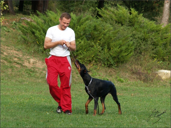 Summer training camp - Jelenec - 2007